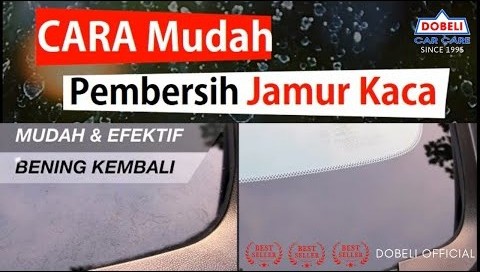 DOBELI PEMBERSIH JAMUR