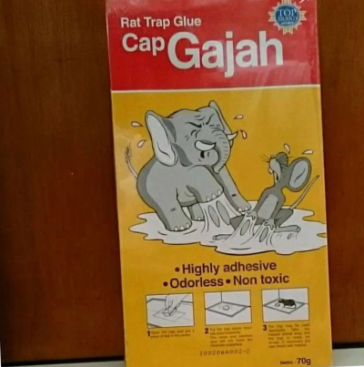 LEM TIKUS TRAP CAP GAJAH 70 GR 1 karton (72 Pcs)
