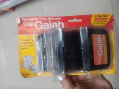 PERANGKAP TIKUS MEKANIS CAP GAJAH 1 Karton (12pcs)